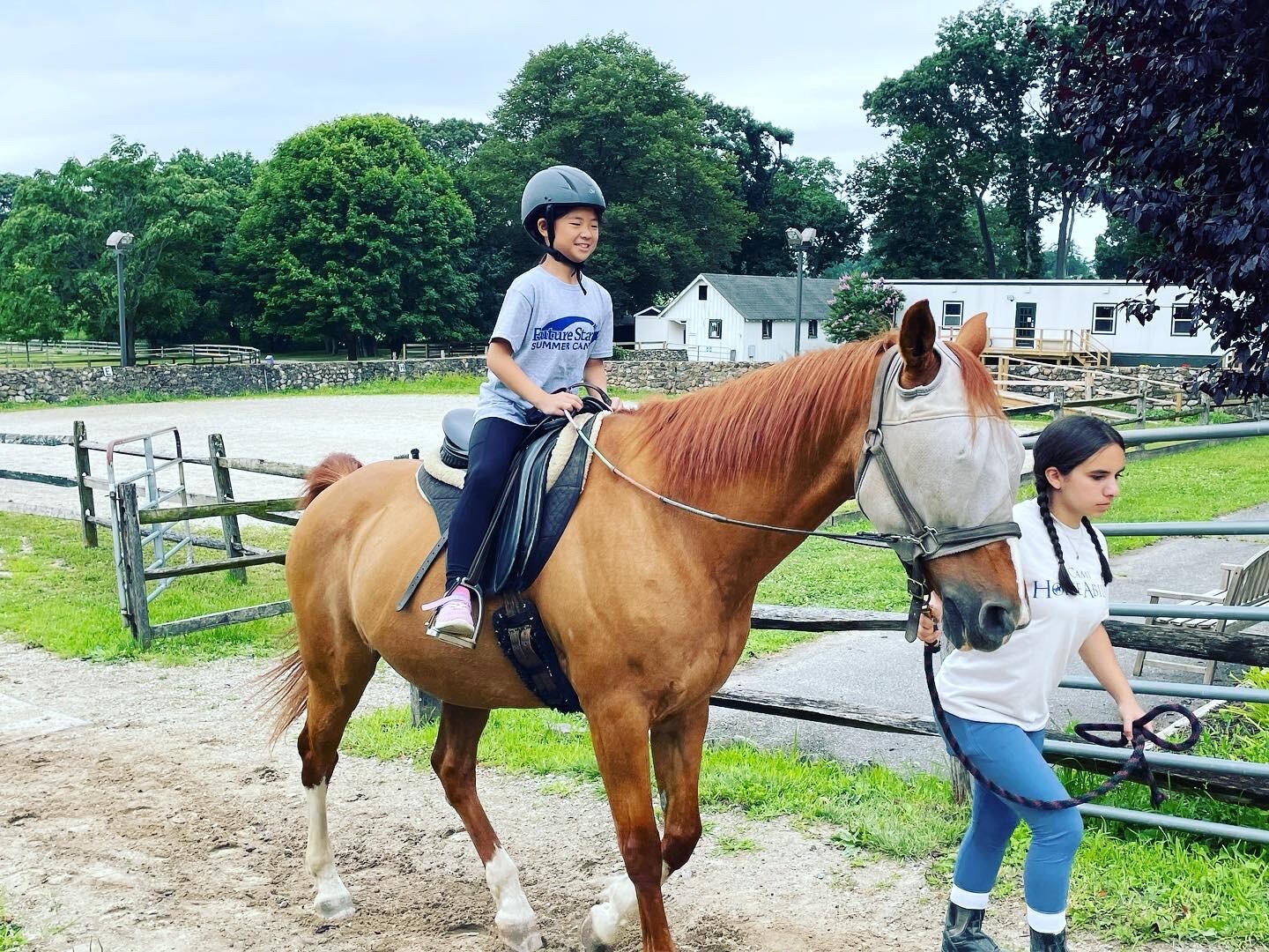 Horseability.4-1